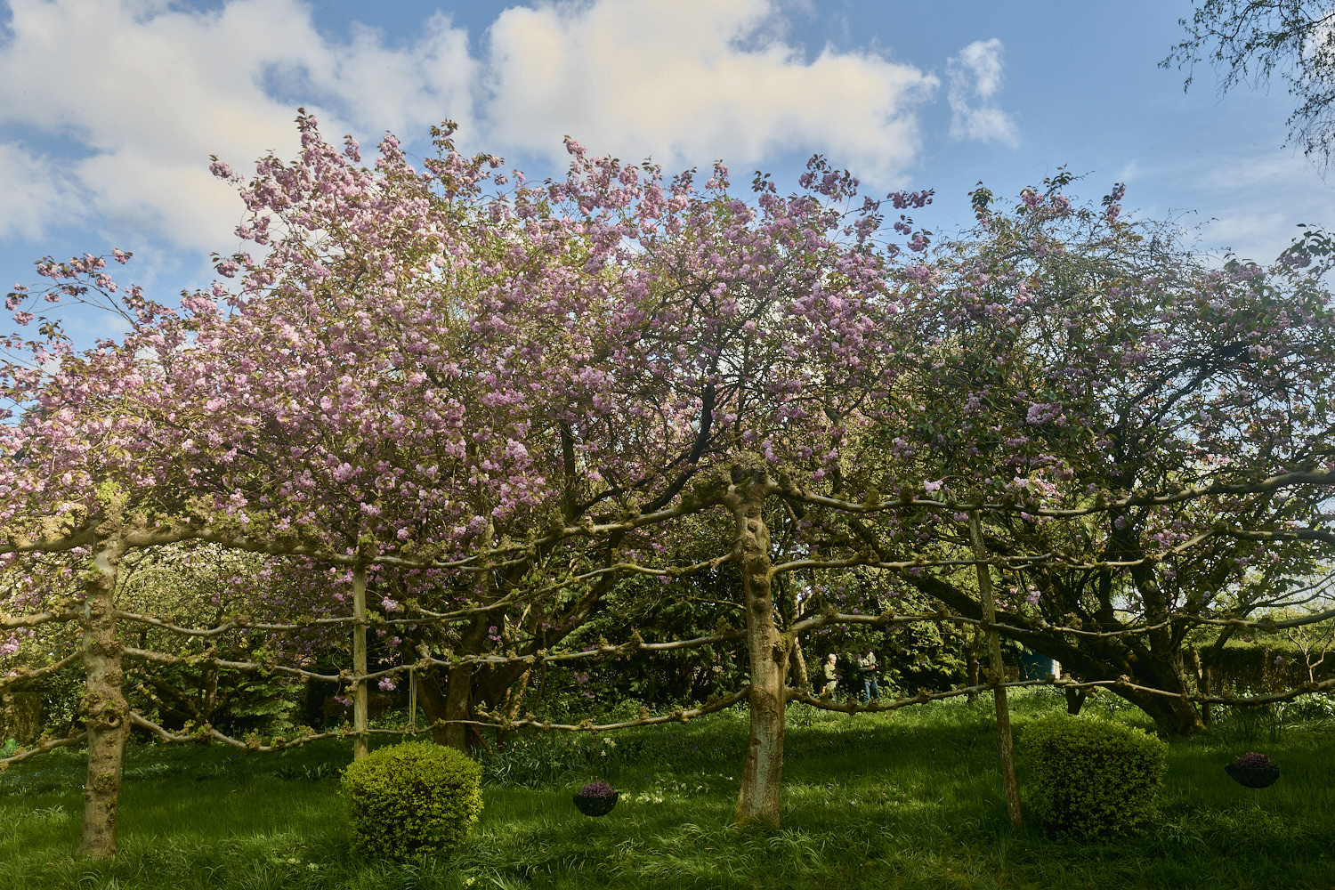 WestBeckhamLime140424-4-NEF-