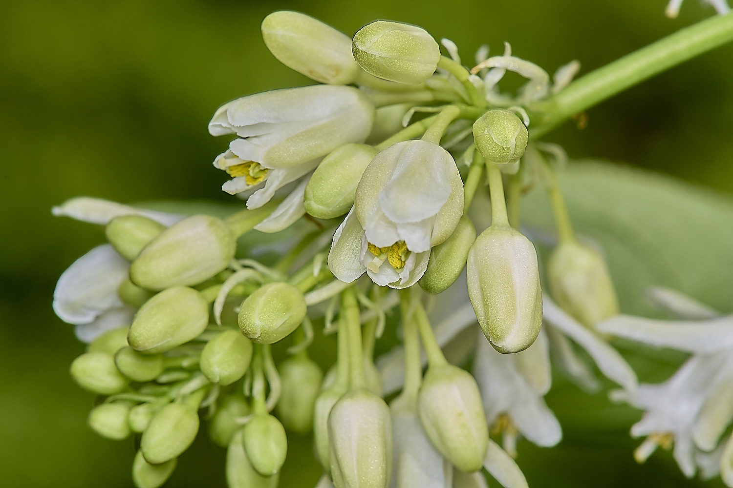 WestBeckhamSta[phlea140424-1-NEF-