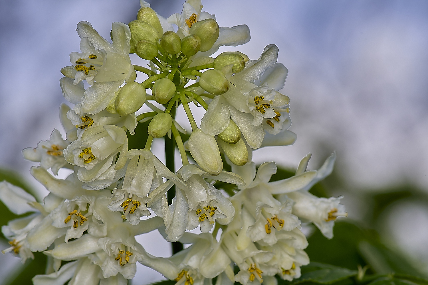 WestBeckhamSta[phlea140424-3-NEF-