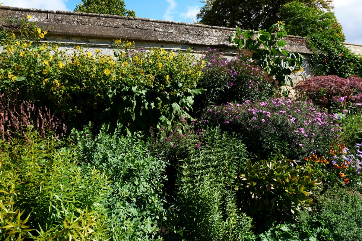 Oxford Botanic Garden  07/09/18